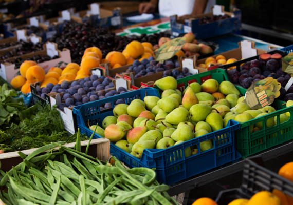 Imagen sobre Proveedor de frutas y verduras para guarderías y escuelas en Barcelona